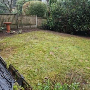 garden cleared