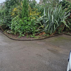 garden scene shrubbery