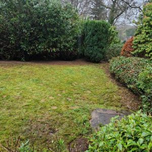 garden clean