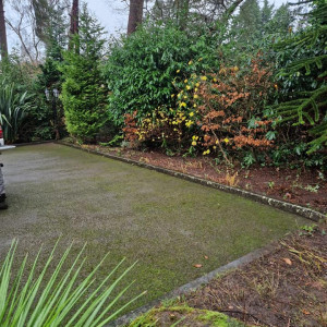 garden needs power washed