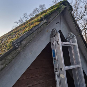 moss on roof front needs replaced and protected