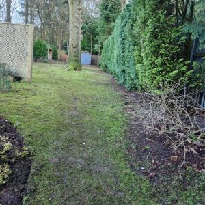 garden cleared