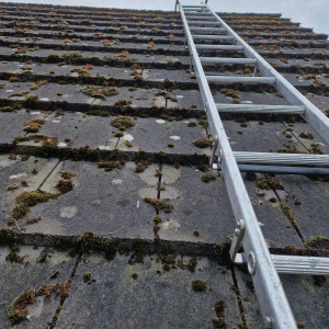 roof with ladder to clean