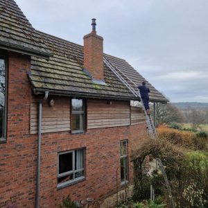 roof cleaning