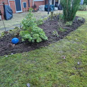 garden leaves removed