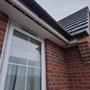 fascia cleaned