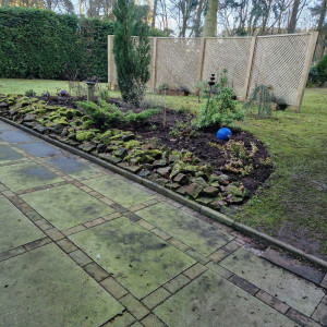 garden that needs maintained