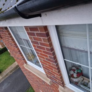 cleaned fascia
