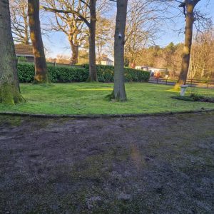 garden scene trees