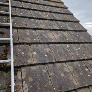 removed filth from roof