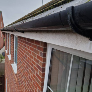 gutter and fascia need cleaned maintained