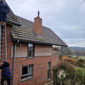 roof cleaned of moss