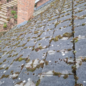 roof moss to be cleared