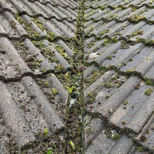roof dirty moss debris