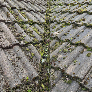 roof dirty moss debris