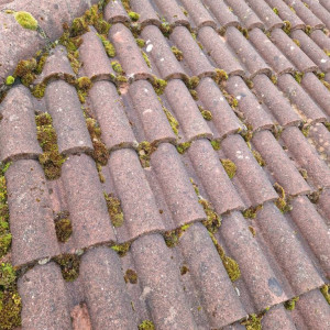 roof tiles dirt