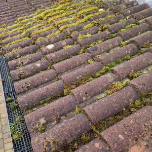 thick dirt on roof of house