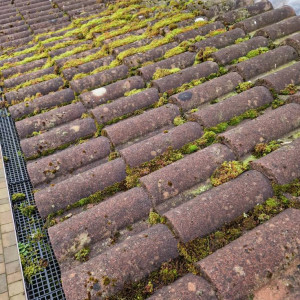 thick dirt on roof of house