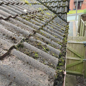 roof dirt and debris blocking guttering