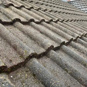 roof cleaned