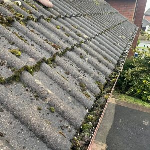 roof dirt
