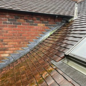 roof to be cleaned