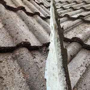 roof cleared