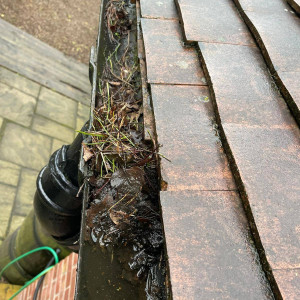 guttering filled with dirt debris