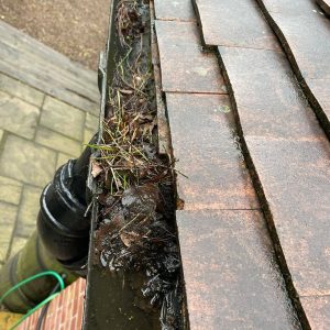 guttering filled with dirt debris