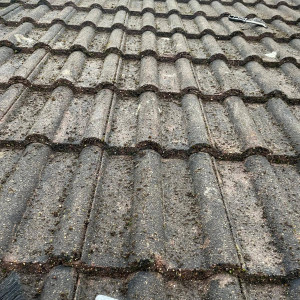 roof cleared