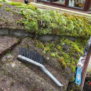 process of cleaning roof