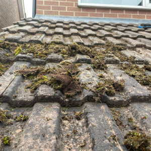 dirt and debris on roof