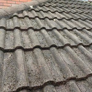 roof need cleaned