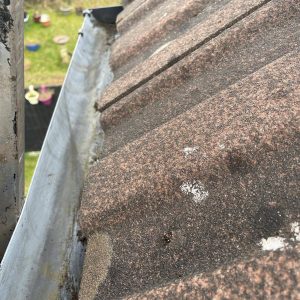 roof maintenance