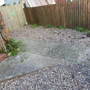 garden cleared