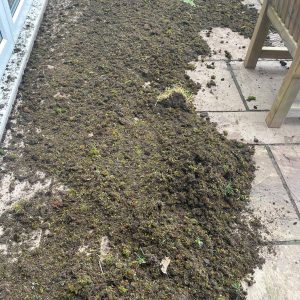 debris from roof on ground