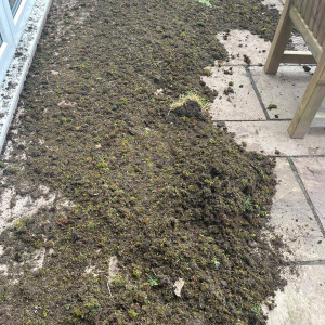 debris from roof on ground