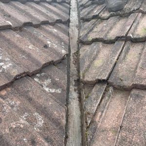 roof cleared