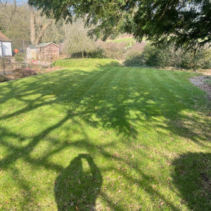 garden beautiful scenery