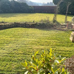 garden scene mowed