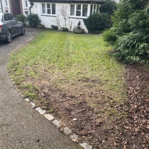 garden cleared