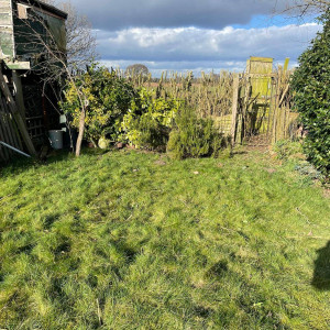 hedges tidied up trimmed