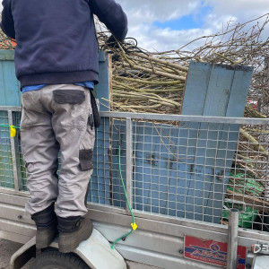 twigs and branches garden waste, shed panels