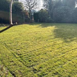 mowed garden