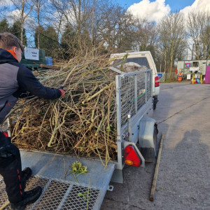garden waste twigs and branches removal