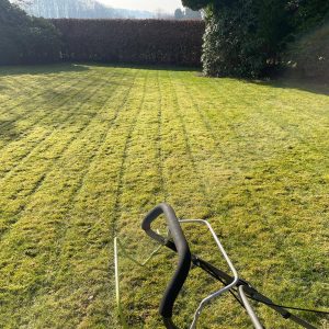 bright mowed garden