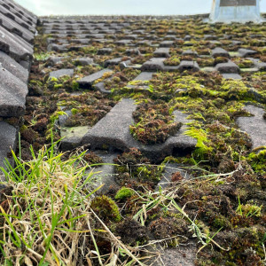 guttering overflowing with dirt