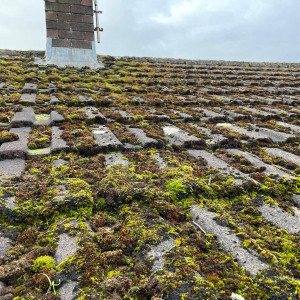 roof debris and dirt