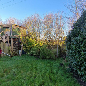 hedge that needs maintained and trimmed